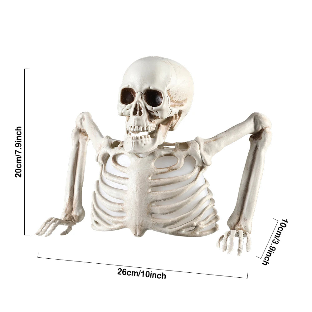 Halloween Glowing Skull Skeleton Decoration Colorful